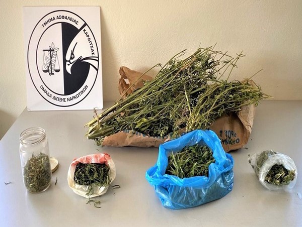 Καλλιεργούσε δενδρύλλια κάνναβης σε αγρόκτημα