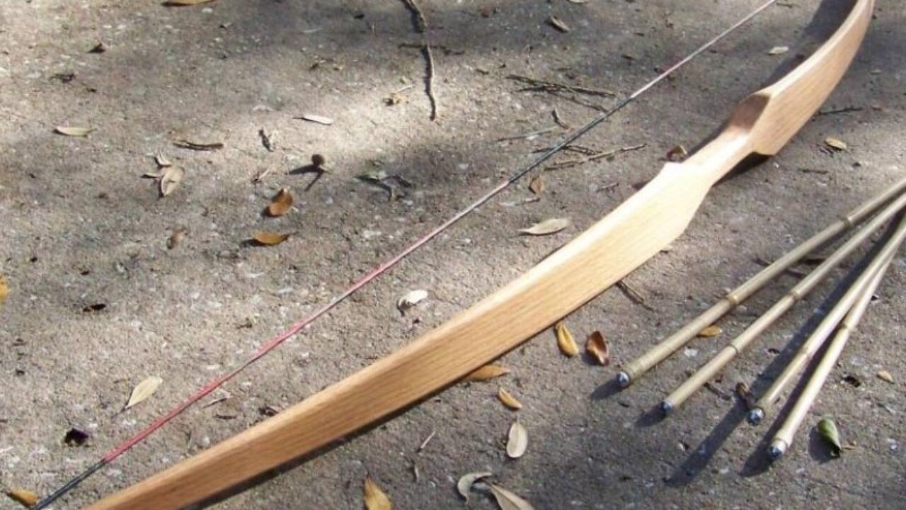 Έριξε βέλος σε αυλή σπιτιού με δύο σκυλιά