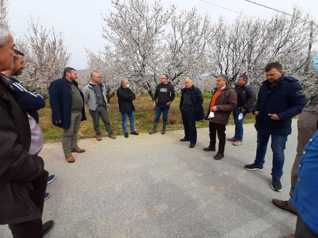  Περιφέρεια Θεσσαλίας: Κλιμάκιο στις παγετόπληκτες καλλιέργειες 