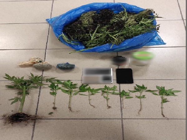 Συνελήφθη 30χρονος για καλλιέργεια δενδρυλλίων 