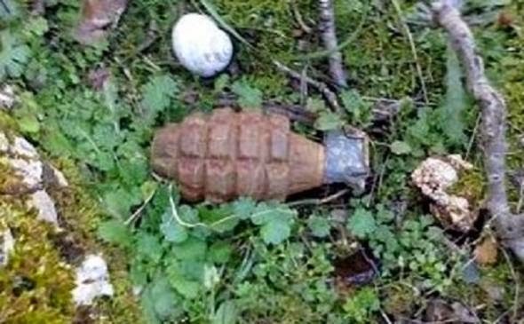 Χειροβομβίδα σε κτήμα στη Δράκεια Μαγνησίας