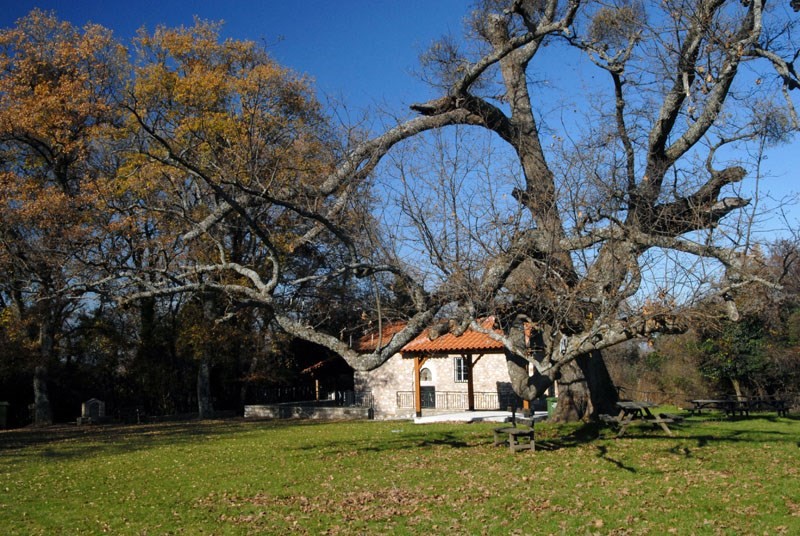 Tο σχέδιο αξιοποίησης των πρώην βασιλικών κτημάτων