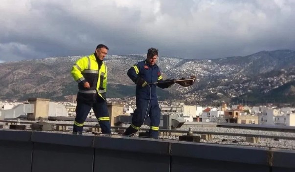 Πυροσβέστες έσωσαν εγκλωβισμένη νυφίτσα