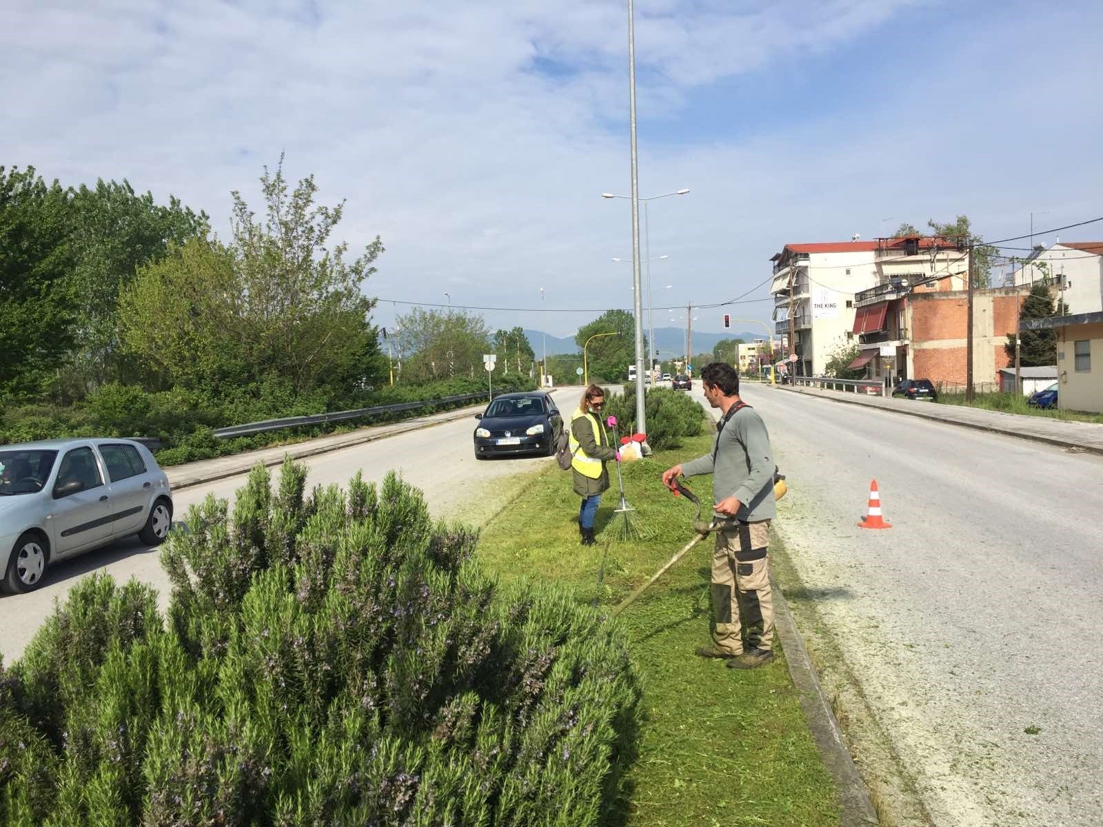 Υπόχρεοι οι ιδιοκτήτες να καθαρίζουν τα οικόπεδα