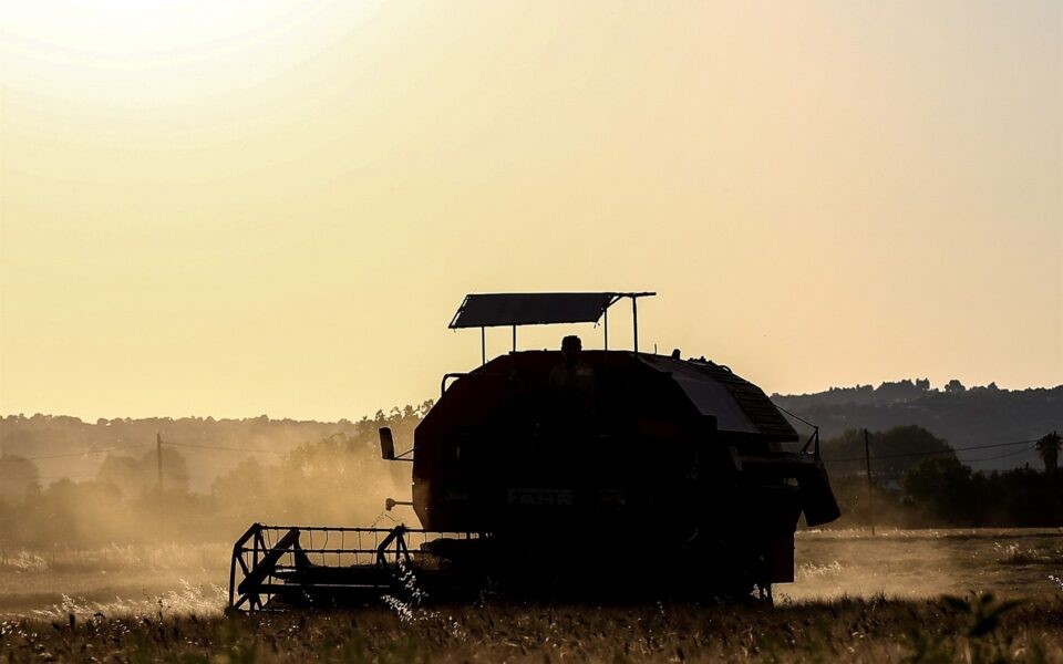 Επάρκεια, αλλά και ιδιαίτερα υψηλές τιμές