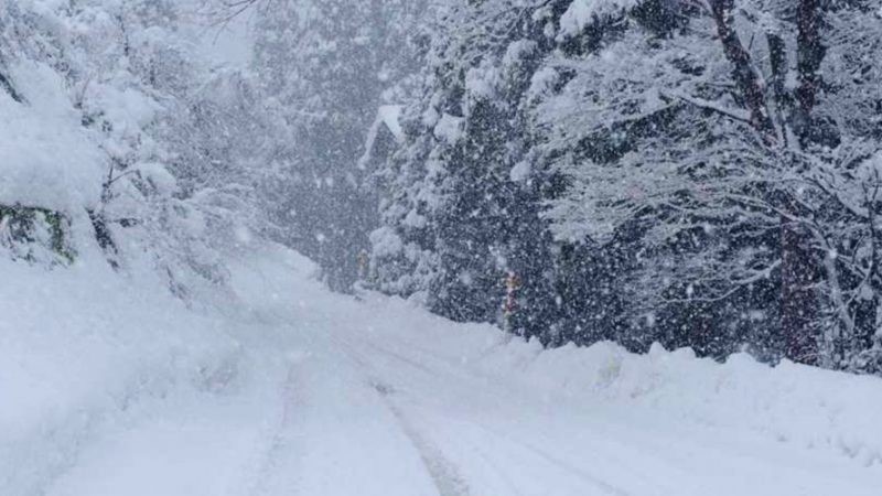 Χιόνισε στα ορεινά της Λάρισας
