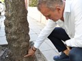 Σε μήνυση κατά αγνώστων προχωρά ο Δήμος Λαρισαίων 