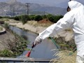 Ιός Δυτικού Νείλου: Στο επίκεντρο της Θεσσαλίας η Λάρισα 