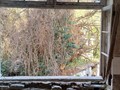 Ψηφιακή «δεύτερη ζωή» για τα παλιά σανατόρια της Θεσσαλίας 