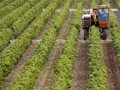 Η γραφειοκρατία παραμένει ο μεγαλύτερος αντίπαλος