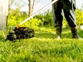 Βροχή οι καταγγελίες για ακαθάριστα οικόπεδα