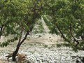 Επεκτείνεται η εναέρια αντιχαλαζική προστασία στα Φάρσαλα 