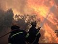 "Τα βρόντηξαν" οι εποχικοί πυροσβέστες