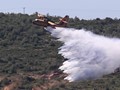 Πυρκαγιά σε χαμηλή βλάστηση στον Τύρναβο 
