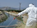 Σε επιφυλακή για τα κουνούπια