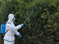 37 πλέον τα κρούσματα στη Θεσσαλία  