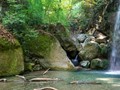 Ανθεκτικός ο τουρισμός στη Θεσσαλία με αιχμή Σποράδες και Όλυμπο