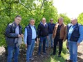 Aνησυχούν οι παραγωγοί για την καρπόπτωση αχλαδιών 