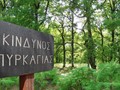 Στο «κόκκινο» η Λάρισα για φωτιές