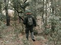 Ξεκινά στις 20 Αυγούστου