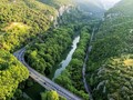 Η ασθένεια των πλατάνων έφτασε και στην κοιλάδα 