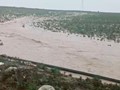 Τη Δευτέρα στα Φάρσαλα κλιμάκιο του ΕΛΓΑ