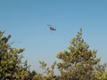Πύρινο μέτωπο στην Κρύα Βρύση Καρδίτσας