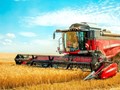 Απογοήτευση στο σκληρό σιτάρι με τιμές στα 20-25 λεπτά
