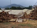 Σοβαρές ζημιές προκάλεσε το μπουρίνι 