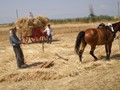 Καρδίτσα: Όταν τα ανθρώπινα χέρια αντικαθιστούσαν τις μηχανές