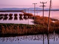 Πώς η κλιματική κρίση "σκοτώνει" τις φετινές καλλιέργειες