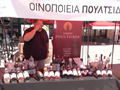 Το 3ο Φεστιβάλ Οίνου και Αποσταγμάτων Θεσσαλίας
