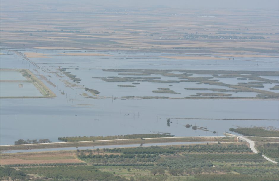 Μέχρι 19 Ιουλίου η εξόφληση αποζημιώσεων ΕΛΓΑ στους Θεσσαλούς λόγω Daniel