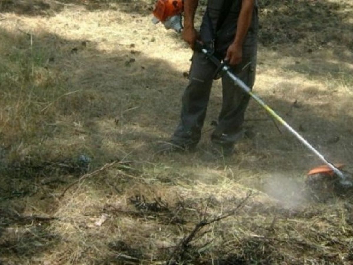 Τρίκαλα: 10 προσλήψεις συμβασιούχων στην πυροπροστασία - Mέχρι αύριο οι αιτήσεις 