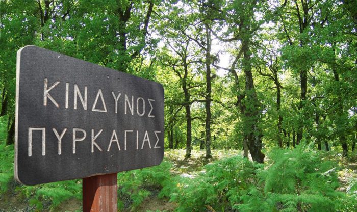 Θεσσαλία: Σε ετοιμότητα η Πολιτική Προστασία για αντιμετώπιση πιθανών πυρκαγιών