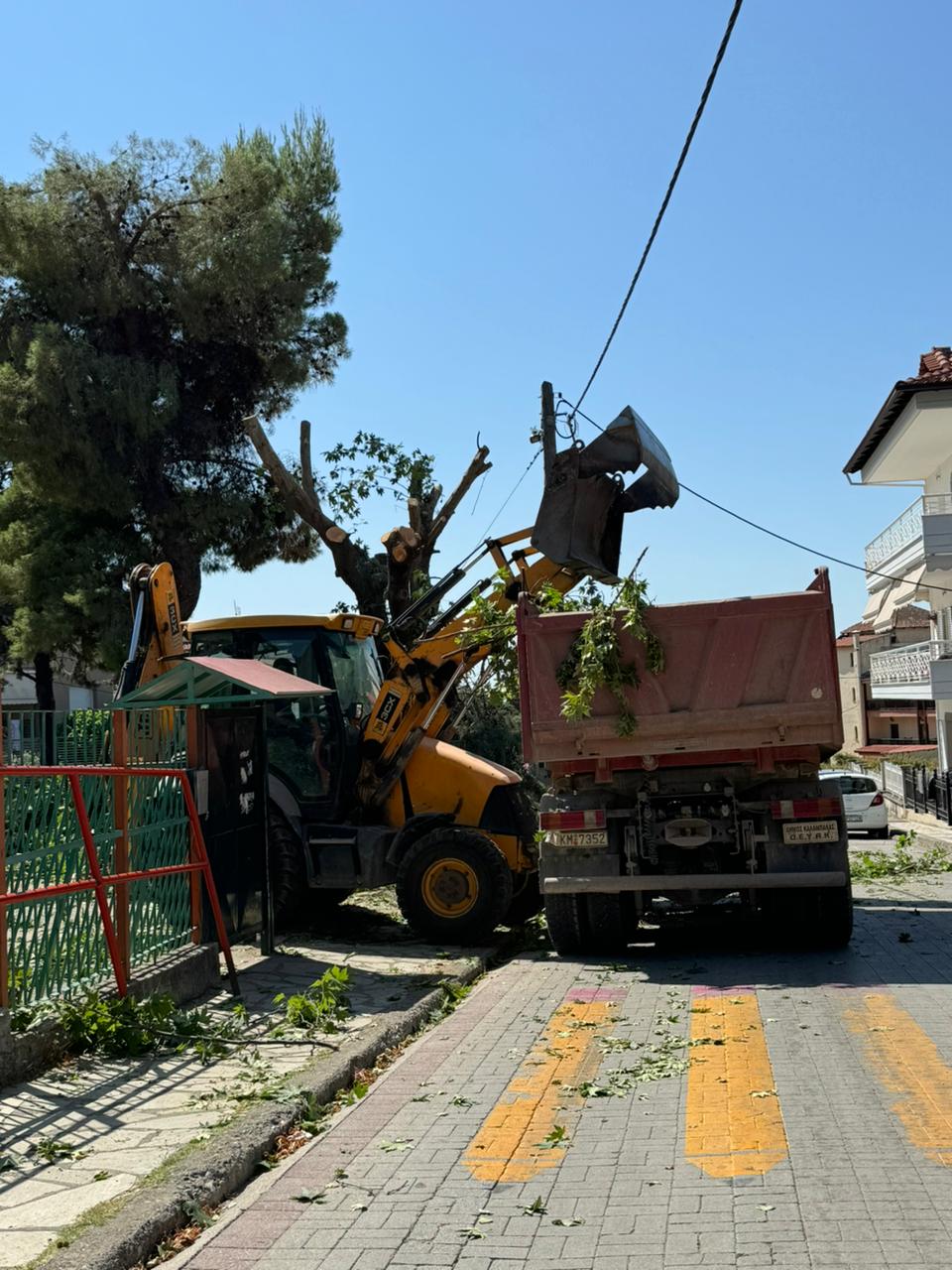 Kλαδεύτηκαν επικίνδυνα δένδρα από τα σχολεία της Καλαμπάκας