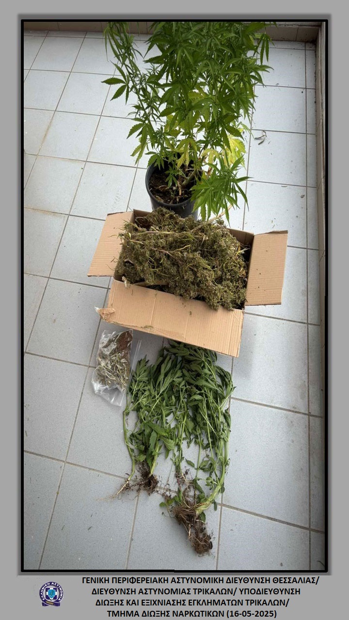 Σύλληψη Τρικαλινού με ένα κιλό χασίς και 9 δενδρύλλια 