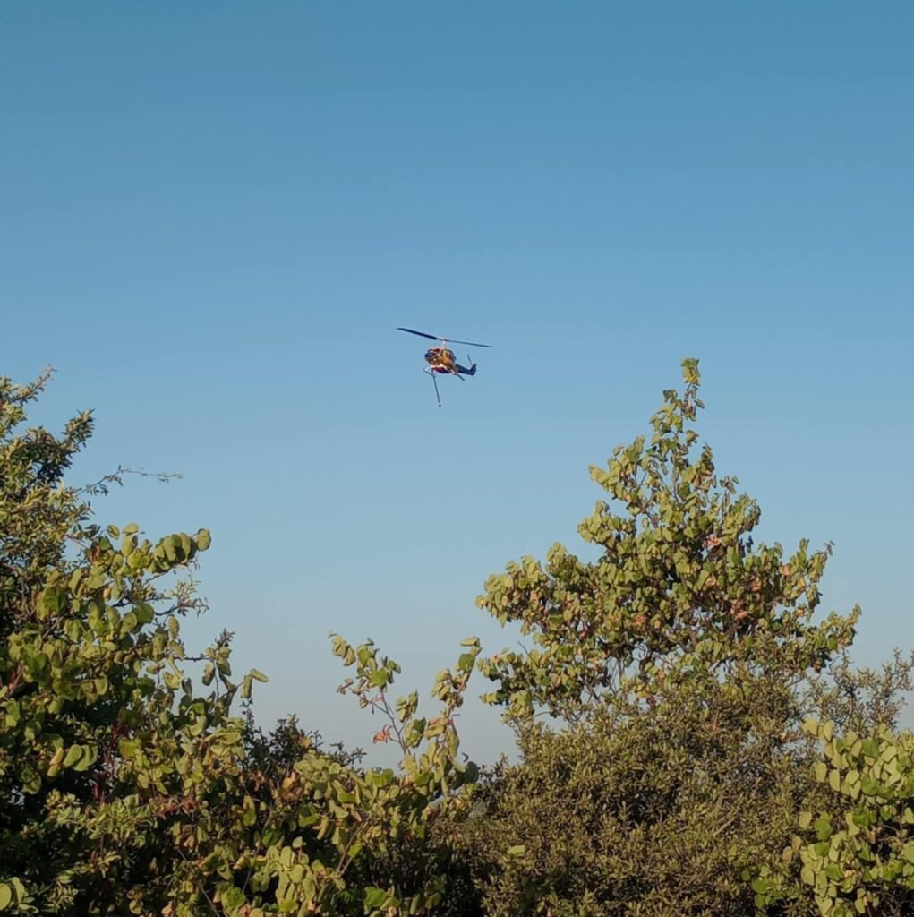 Πύρινο μέτωπο στην Κρύα Βρύση Καρδίτσας - Περιορίστηκε η φωτιά