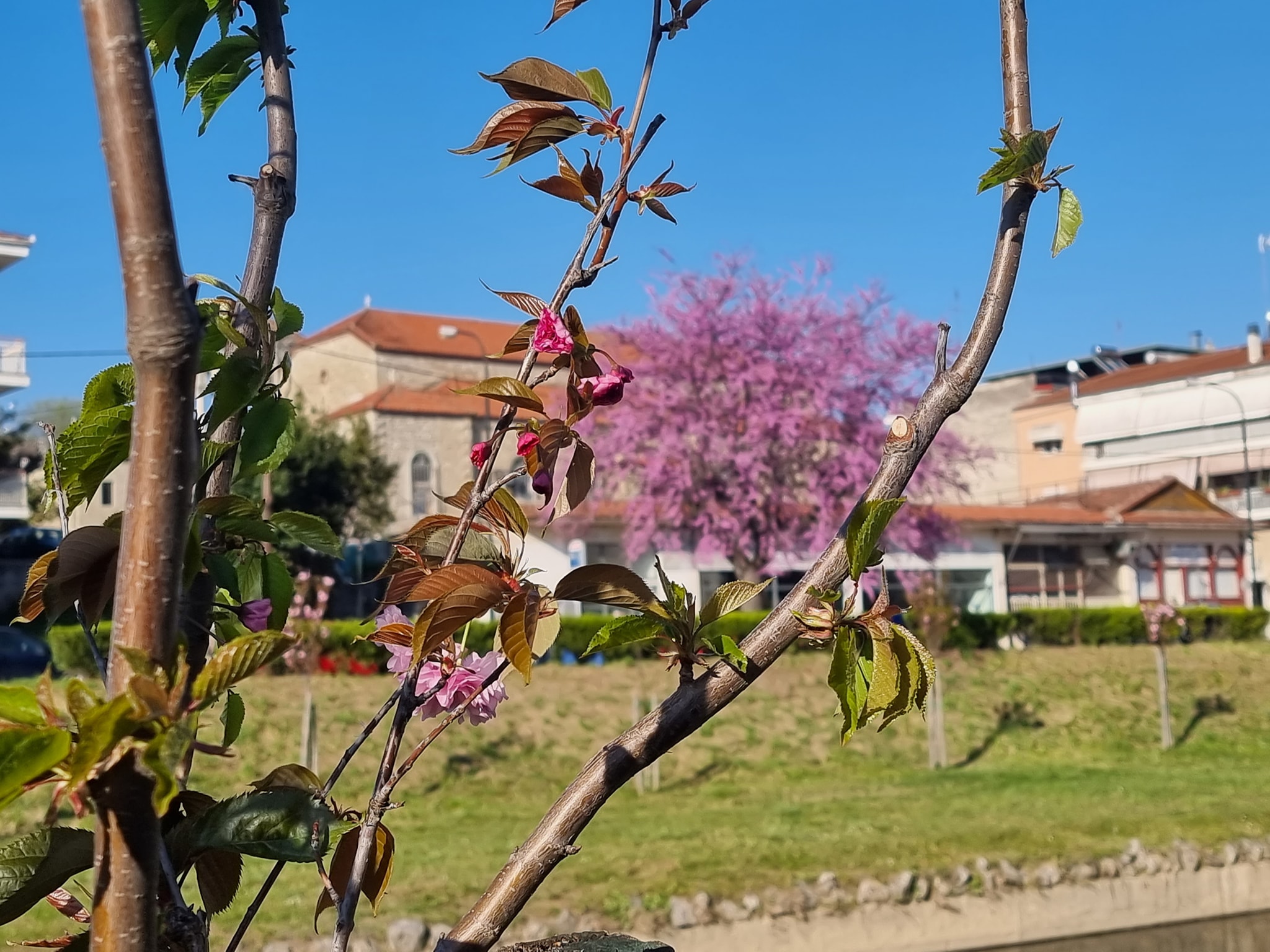 Καλοκαιράκι στα Τρίκαλα: Στους 28°C έφτασε η θερμοκρασία το μεσημέρι της Μ.Τρίτης 