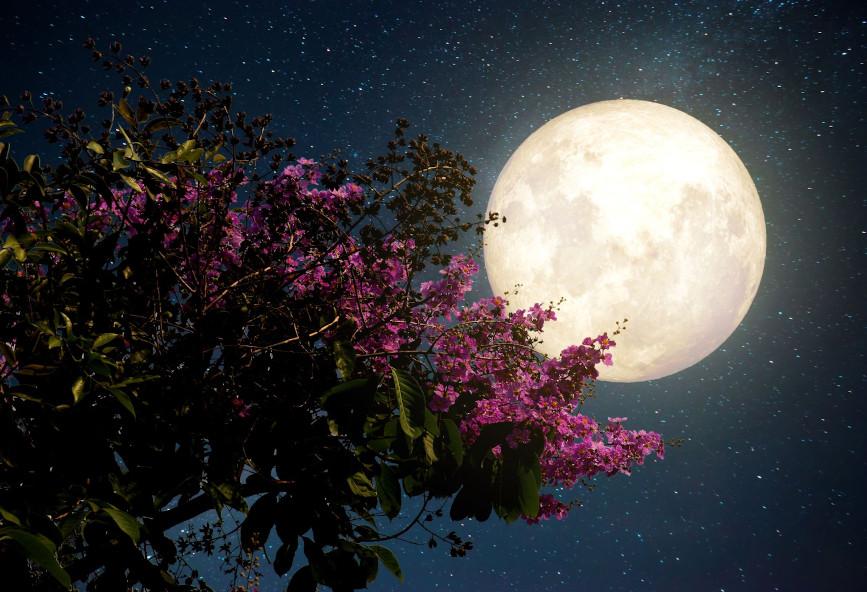 Το βράδυ της Παρασκευής στον ουρανό η πανσέληνος του Μαρτίου - Το «Φεγγάρι του Σκουληκιού»