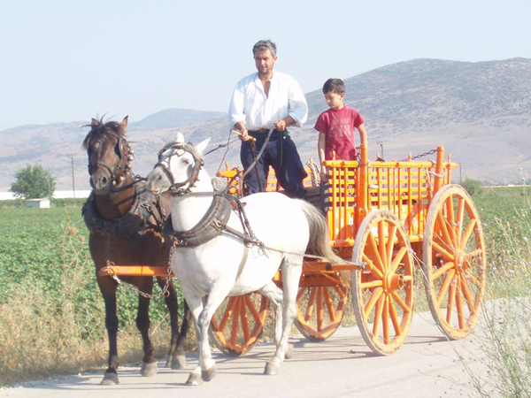 Το άλογο στη ζωή των κατοίκων της Θεσσαλίας 
