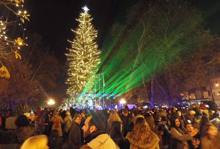 Φωταγωγείται το υψηλότερο φυσικό χριστουγεννιάτικο δέντρο της χώρας