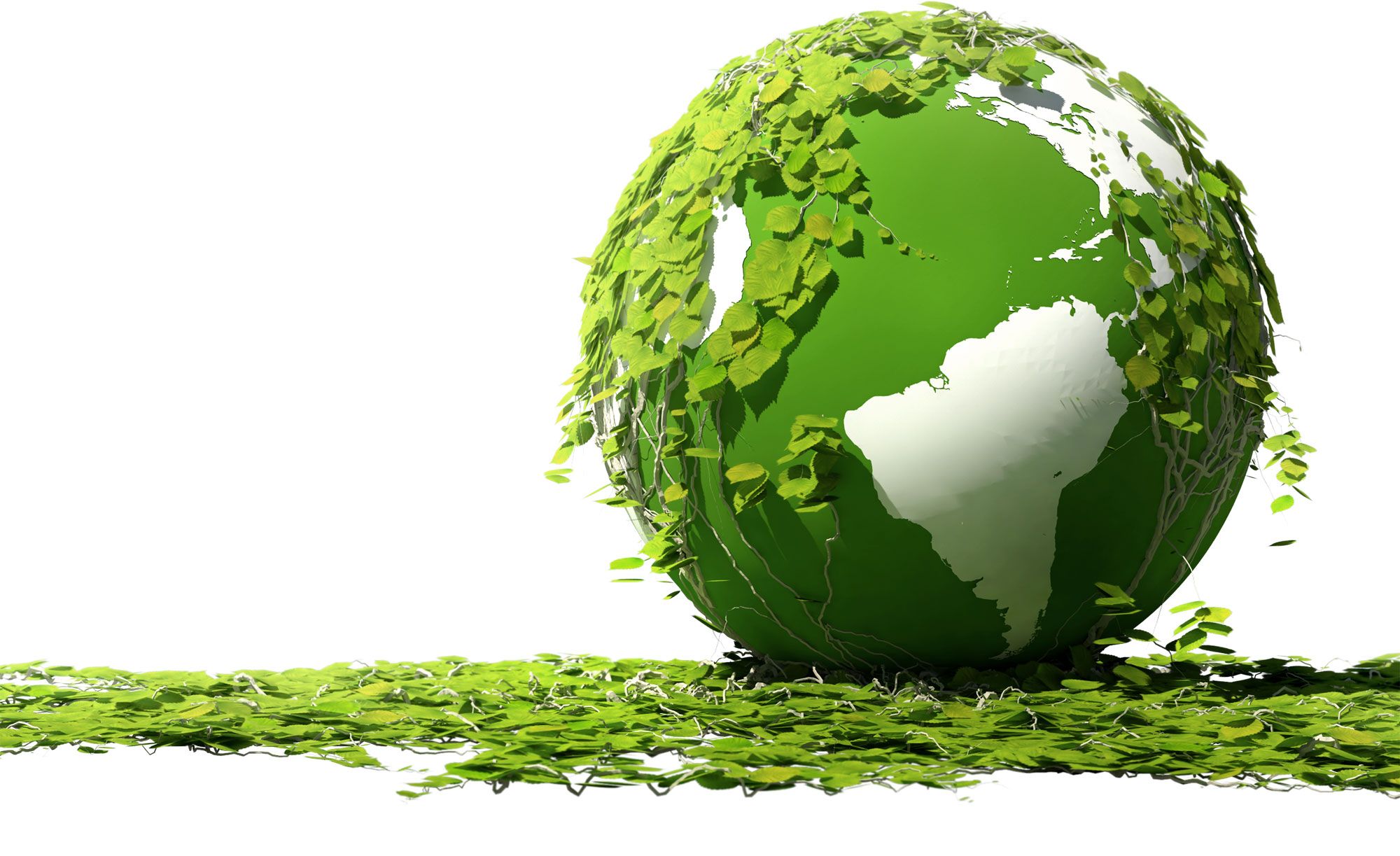 Δ. Τρικκαίων: Θεμέλια για ορθή περιβαλλοντική πολιτική μέσω και ευρωπαϊκού προγράμματος  