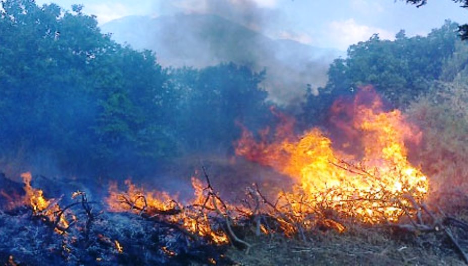 70χρονος αγρότης κάηκε ζωντανός στο Ρίζωμα