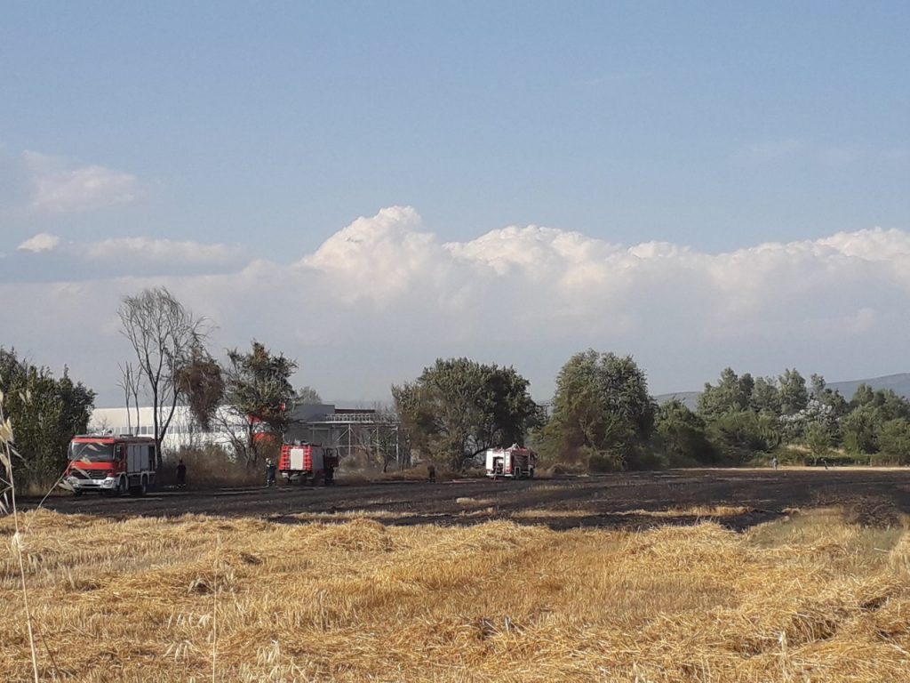 Φωτιά σε σιτοκαλλιέργειες στα Τρίκαλα - Τέθηκε γρήγορα υπό έλεγχο 