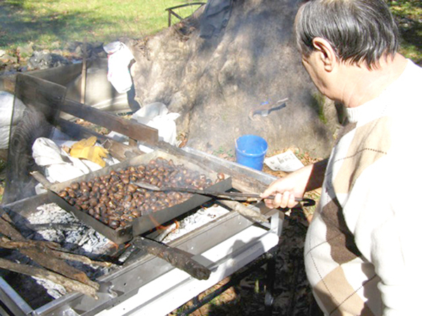  Γιορτή κάστανου και παραδοσιακών προϊόντων στην Καστανιά Καλαμπάκας 
