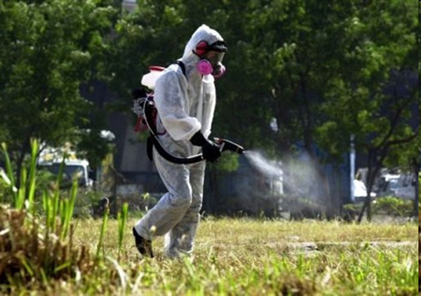 Σε εξέλιξη το πρόγραμμα καταπολέμησης κουνουπιών 