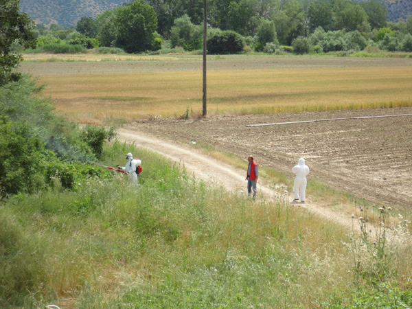 Συνεχίζεται το πρόγραμμα καταπολέμησης κουνουπιών στη Θεσσαλία 