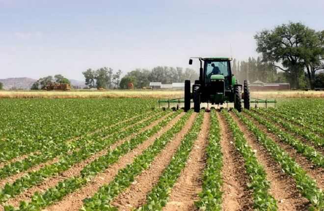 Θεσσαλία: 7,2 εκατ. ευρώ για την ενίσχυση μικρών γεωργικών εκμεταλλεύσεων 