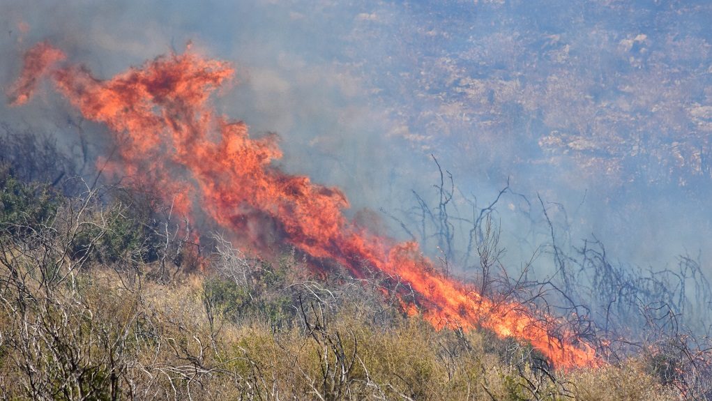 Φωτιά σε υπολείμματα καλλιεργειών στο Μεγάλο Κεφαλόβρυσο 